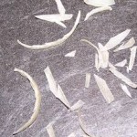 toenail clippings